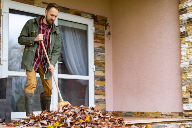 Best Professional Junk Removal  in San Luis, AZ