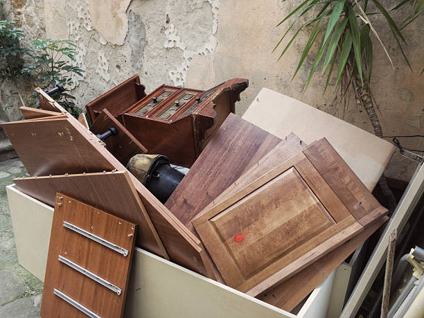 Best Yard Cleanup Services  in San Luis, AZ